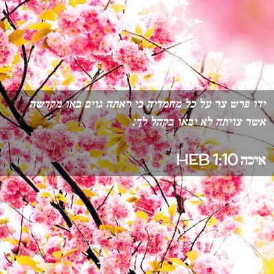 Picture 02 - איכה 1:10 HEB - ידו פרש צר על כל מחמדיה כי - Bible Verse Picture