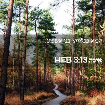 Picture 02 - איכה 3:13 HEB - הביא בכליותי בני - Bible Verse Picture