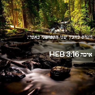 Picture 02 - איכה 3:16 HEB - ויגרס בחצץ שני הכפישני - Bible Verse Picture
