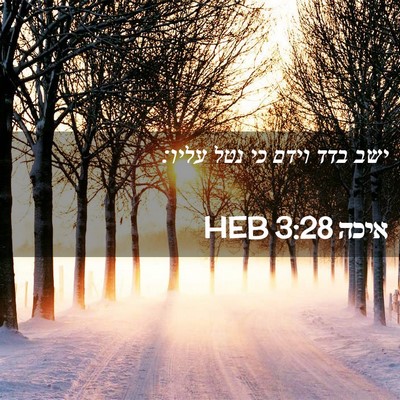 Picture 02 - איכה 3:28 HEB - ישב בדד וידם כי נטל - Bible Verse Picture