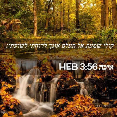 Picture 02 - איכה 3:56 HEB - קולי שמעת אל תעלם אזנך - Bible Verse Picture