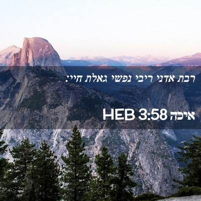 Picture 02 - איכה 3:58 HEB - רבת אדני ריבי נפשי גאלת - Bible Verse Picture