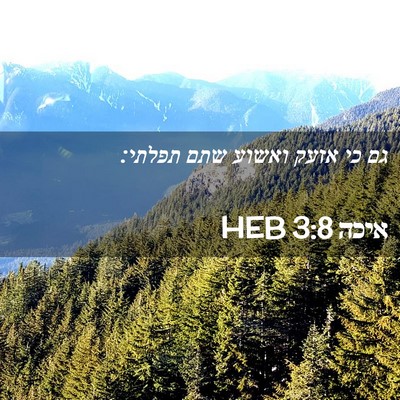 Picture 02 - איכה 3:8 HEB - גם כי אזעק ואשוע שתם - Bible Verse Picture