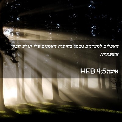 Picture 02 - איכה 4:5 HEB - האכלים למעדנים נשמו בחוצות - Bible Verse Picture