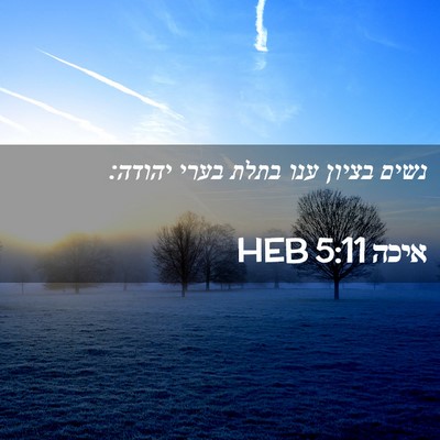 Picture 02 - איכה 5:11 HEB - נשים בציון ענו בתלת בערי - Bible Verse Picture