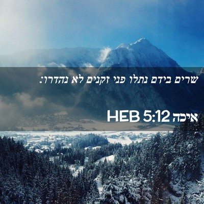 Picture 02 - איכה 5:12 HEB - שרים בידם נתלו פני זקנים לא - Bible Verse Picture