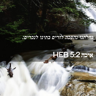 Picture 02 - איכה 5:2 HEB - נחלתנו נהפכה לזרים בתינו - Bible Verse Picture