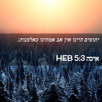 Picture 02 - איכה 5:3 HEB - יתומים היינו אין אב אמתינו - Bible Verse Picture