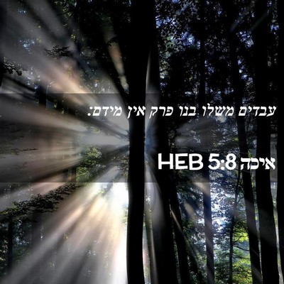 Picture 02 - איכה 5:8 HEB - עבדים משלו בנו פרק אין - Bible Verse Picture