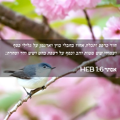 Picture 02 - אסתר 1:6 HEB - חור כרפס ותכלת אחוז בחבלי - Bible Verse Picture
