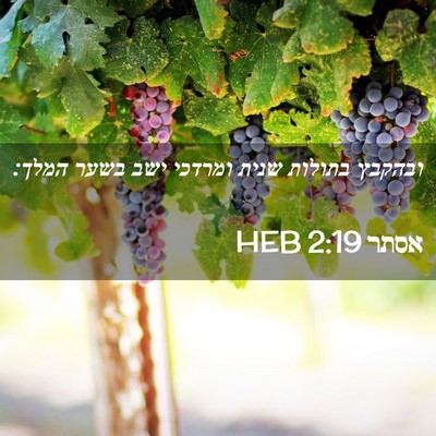 Picture 02 - אסתר 2:19 HEB - ובהקבץ בתולות שנית ומרדכי - Bible Verse Picture