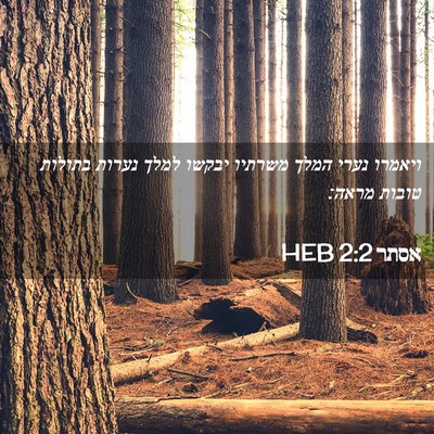 Picture 02 - אסתר 2:2 HEB - ויאמרו נערי המלך משרתיו - Bible Verse Picture
