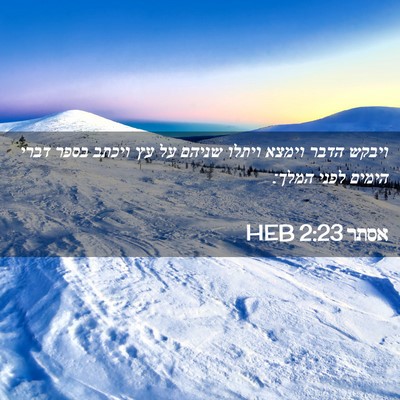 Picture 02 - אסתר 2:23 HEB - ויבקש הדבר וימצא ויתלו - Bible Verse Picture