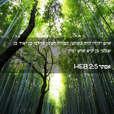 Picture 02 - אסתר 2:5 HEB - איש יהודי היה בשושן הבירה - Bible Verse Picture
