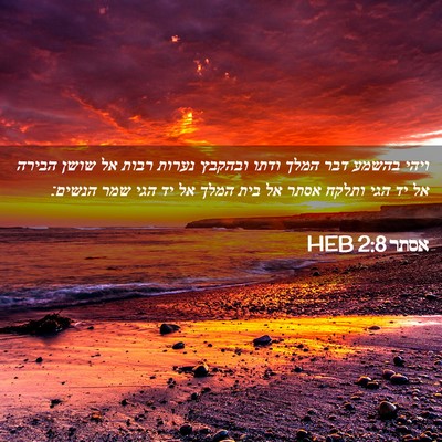 Picture 02 - אסתר 2:8 HEB - ויהי בהשמע דבר המלך ודתו - Bible Verse Picture