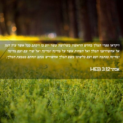 Picture 02 - אסתר 3:12 HEB - ויקראו ספרי המלך בחדש - Bible Verse Picture
