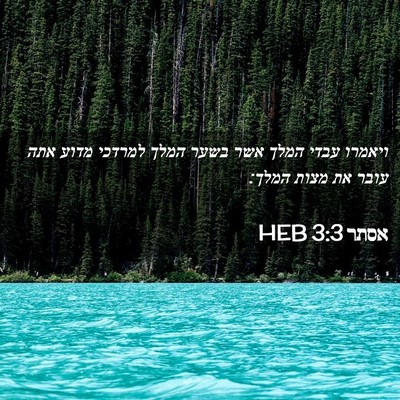 Picture 02 - אסתר 3:3 HEB - ויאמרו עבדי המלך אשר בשער - Bible Verse Picture