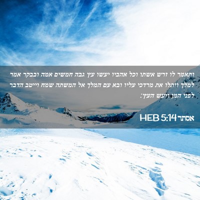 Picture 02 - אסתר 5:14 HEB - ותאמר לו זרש אשתו וכל אהביו - Bible Verse Picture