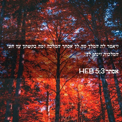 Picture 02 - אסתר 5:3 HEB - ויאמר לה המלך מה לך אסתר - Bible Verse Picture
