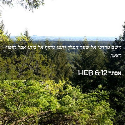 Picture 02 - אסתר 6:12 HEB - וישב מרדכי אל שער המלך והמן - Bible Verse Picture