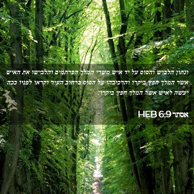 Picture 02 - אסתר 6:9 HEB - ונתון הלבוש והסוס על יד איש - Bible Verse Picture