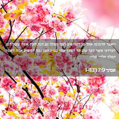 Picture 02 - אסתר 7:9 HEB - ויאמר חרבונה אחד מן - Bible Verse Picture