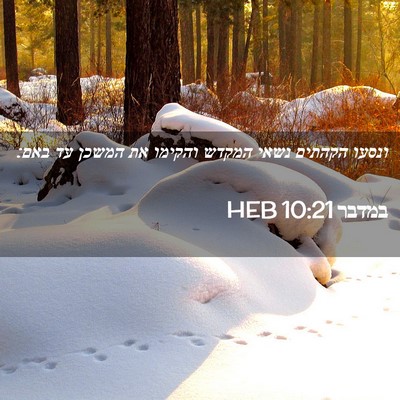 Picture 02 - במדבר 10:21 HEB - ונסעו הקהתים נשאי המקדש - Bible Verse Picture