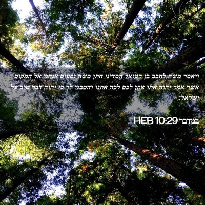 Picture 02 - במדבר 10:29 HEB - ויאמר משה לחבב בן רעואל - Bible Verse Picture