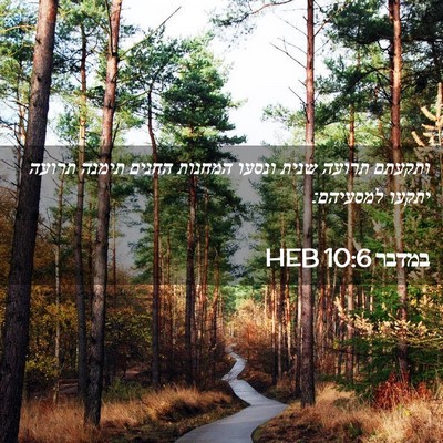 Picture 02 - במדבר 10:6 HEB - ותקעתם תרועה שנית ונסעו - Bible Verse Picture