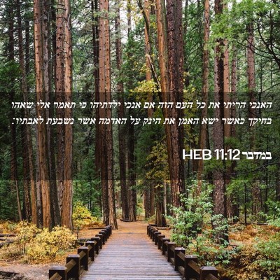 Picture 02 - במדבר 11:12 HEB - האנכי הריתי את כל העם הזה - Bible Verse Picture