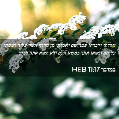 Picture 02 - במדבר 11:17 HEB - וירדתי ודברתי עמך שם - Bible Verse Picture