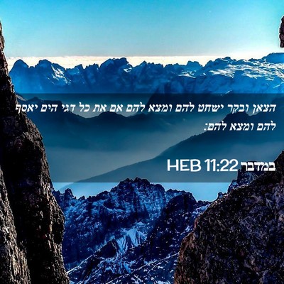 Picture 02 - במדבר 11:22 HEB - הצאן ובקר ישחט להם ומצא להם - Bible Verse Picture