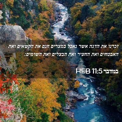 Picture 02 - במדבר 11:5 HEB - זכרנו את הדגה אשר נאכל - Bible Verse Picture