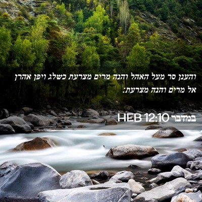 Picture 02 - במדבר 12:10 HEB - והענן סר מעל האהל והנה מרים - Bible Verse Picture