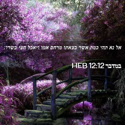 Picture 02 - במדבר 12:12 HEB - אל נא תהי כמת אשר בצאתו - Bible Verse Picture