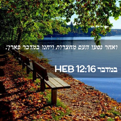 Picture 02 - במדבר 12:16 HEB - ואחר נסעו העם מחצרות ויחנו - Bible Verse Picture
