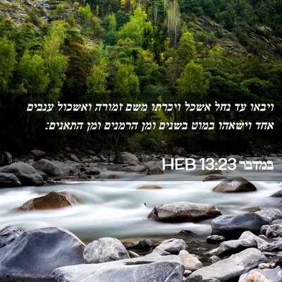 Picture 02 - במדבר 13:23 HEB - ויבאו עד נחל אשכל ויכרתו - Bible Verse Picture