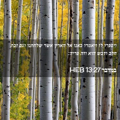 Picture 02 - במדבר 13:27 HEB - ויספרו לו ויאמרו באנו אל - Bible Verse Picture