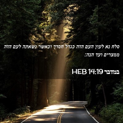 Picture 02 - במדבר 14:19 HEB - סלח נא לעון העם הזה כגדל - Bible Verse Picture