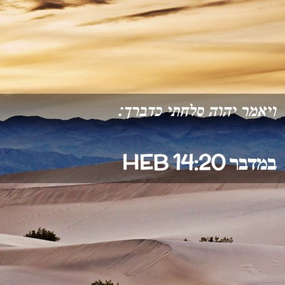 Picture 02 - במדבר 14:20 HEB - ויאמר יהוה סלחתי - Bible Verse Picture