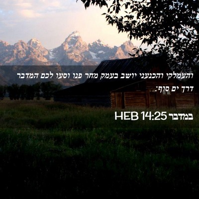 Picture 02 - במדבר 14:25 HEB - והעמלקי והכנעני יושב בעמק - Bible Verse Picture