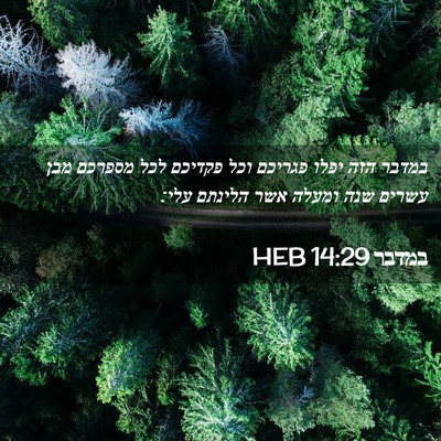 Picture 02 - במדבר 14:29 HEB - במדבר הזה יפלו פגריכם וכל - Bible Verse Picture