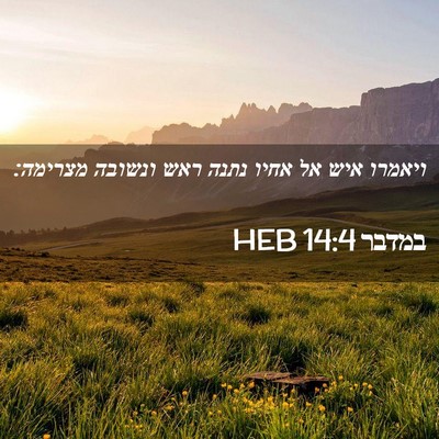 Picture 02 - במדבר 14:4 HEB - ויאמרו איש אל אחיו נתנה ראש - Bible Verse Picture