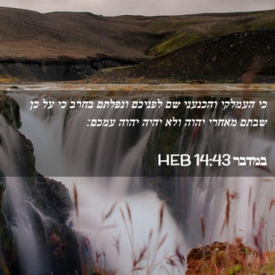 Picture 02 - במדבר 14:43 HEB - כי העמלקי והכנעני שם - Bible Verse Picture