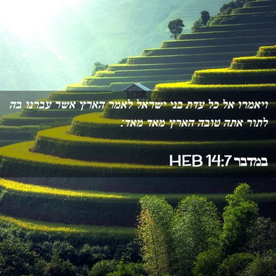 Picture 02 - במדבר 14:7 HEB - ויאמרו אל כל עדת בני ישראל - Bible Verse Picture