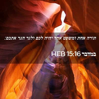 Picture 02 - במדבר 15:16 HEB - תורה אחת ומשפט אחד יהיה לכם - Bible Verse Picture