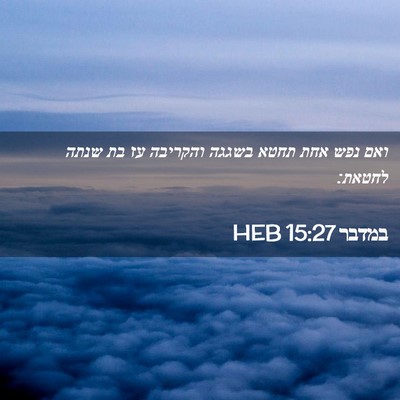 Picture 02 - במדבר 15:27 HEB - ואם נפש אחת תחטא בשגגה - Bible Verse Picture