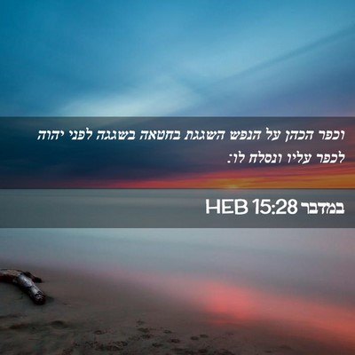 Picture 02 - במדבר 15:28 HEB - וכפר הכהן על הנפש השגגת - Bible Verse Picture
