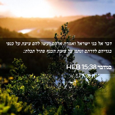 Picture 02 - במדבר 15:38 HEB - דבר אל בני ישראל ואמרת אלהם - Bible Verse Picture