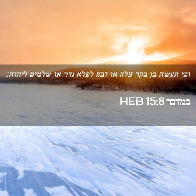 Picture 02 - במדבר 15:8 HEB - וכי תעשה בן בקר עלה או זבח - Bible Verse Picture